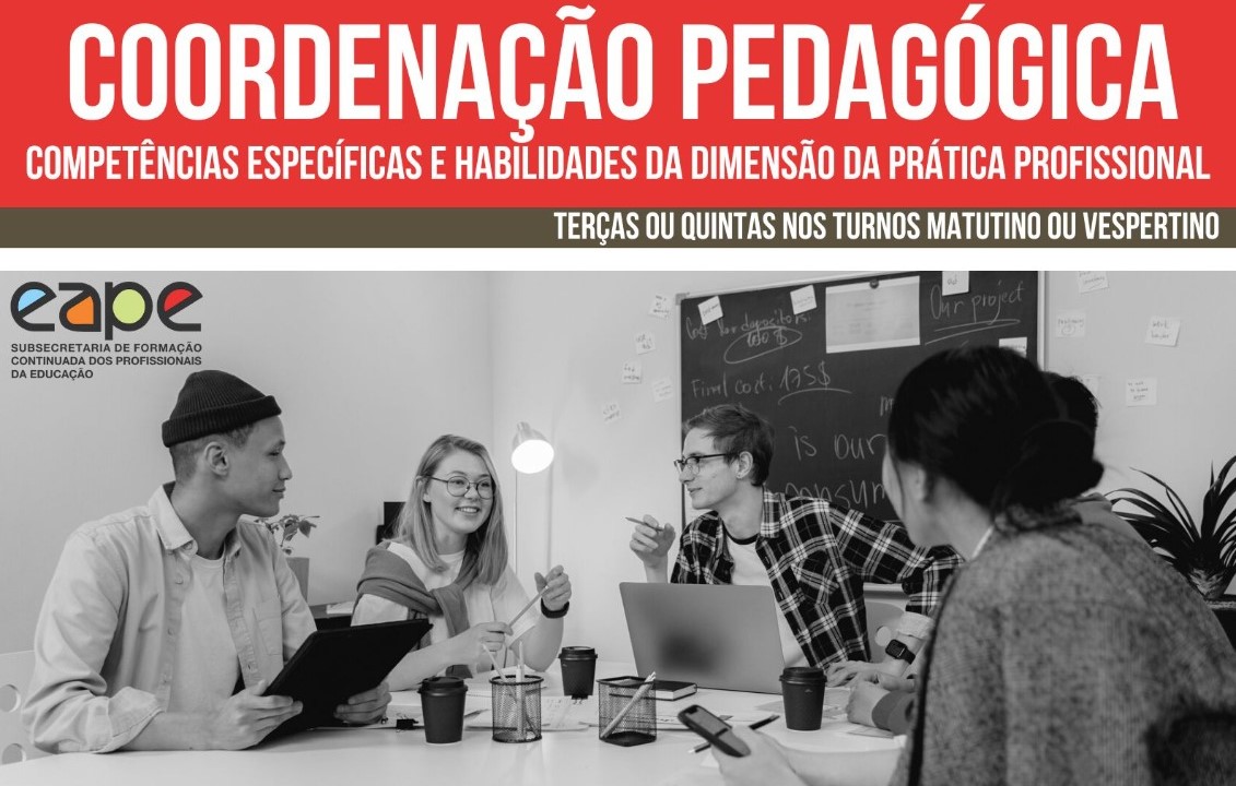 COORDENAÇÃO PEDAGÓGICA - COMPETÊNCIAS ESPECÍFICAS E HABILIDADES DA DIMENSÃO DA PRÁTICA PROFISSIONAL.