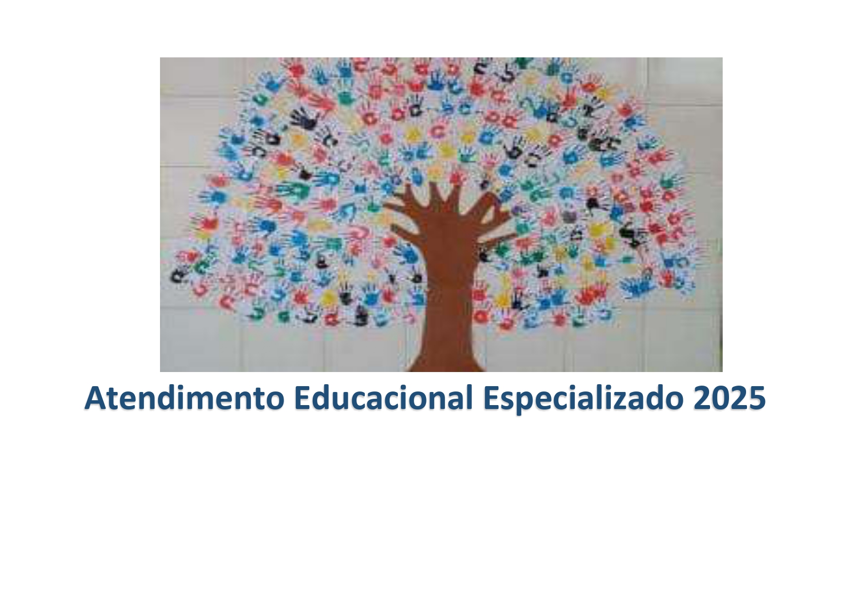 ATENDIMENTO EDUCACIONAL ESPECIALIZADO
