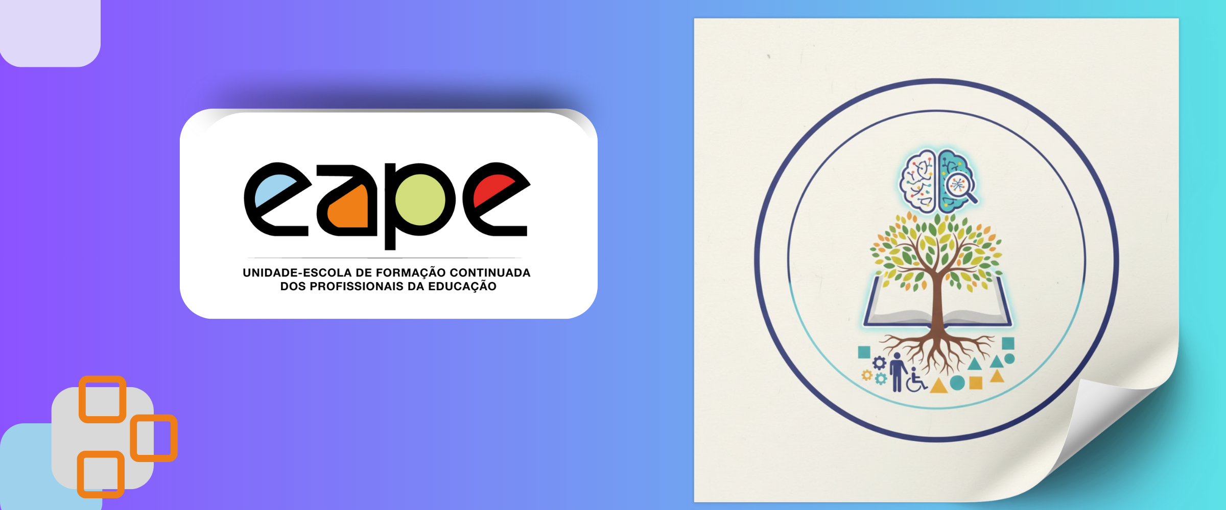 DEFICIÊNCIA INTELECTUAL: APORTE PARA PRÁTICA PEDAGÓGICA