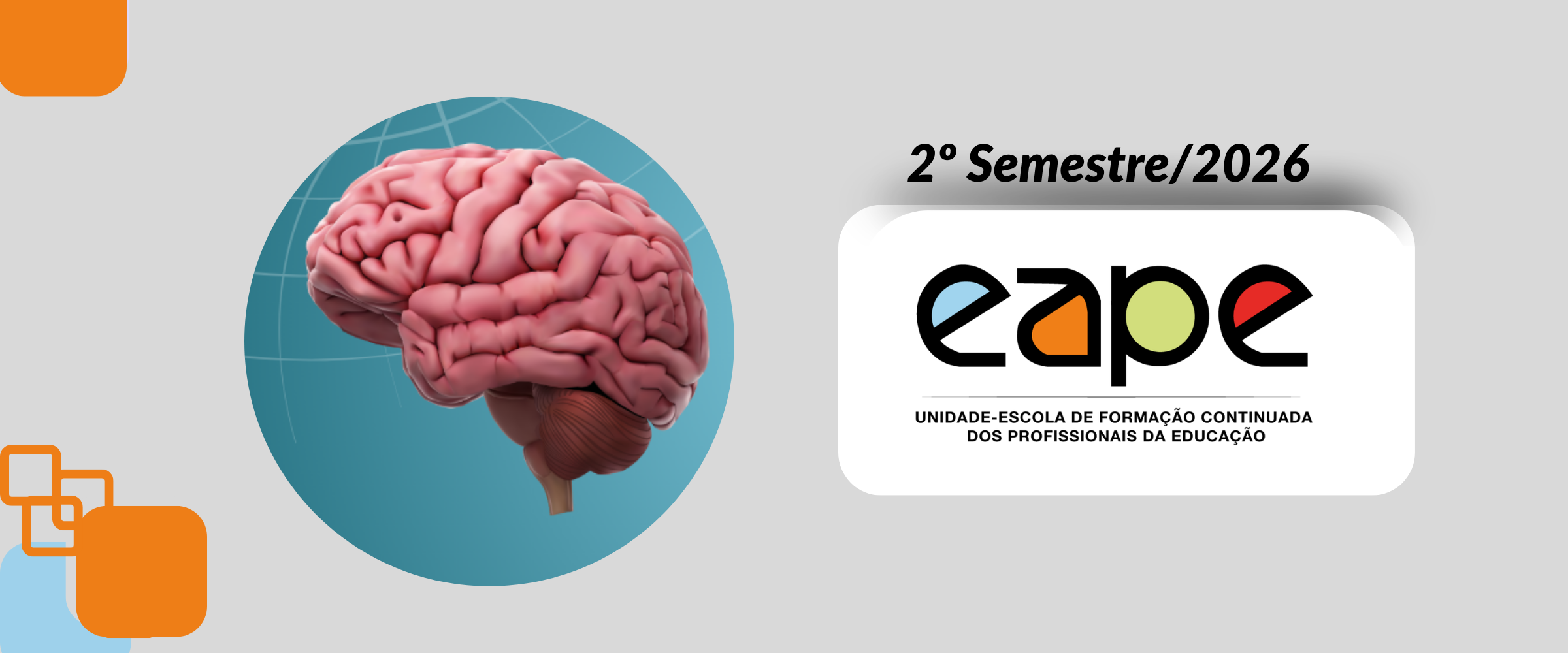 NEUROPSICOLOGIA DO DESENVOLVIMENTO E FUNÇÕES  EXECUTIVAS NA EDUCAÇÃO BÁSICA